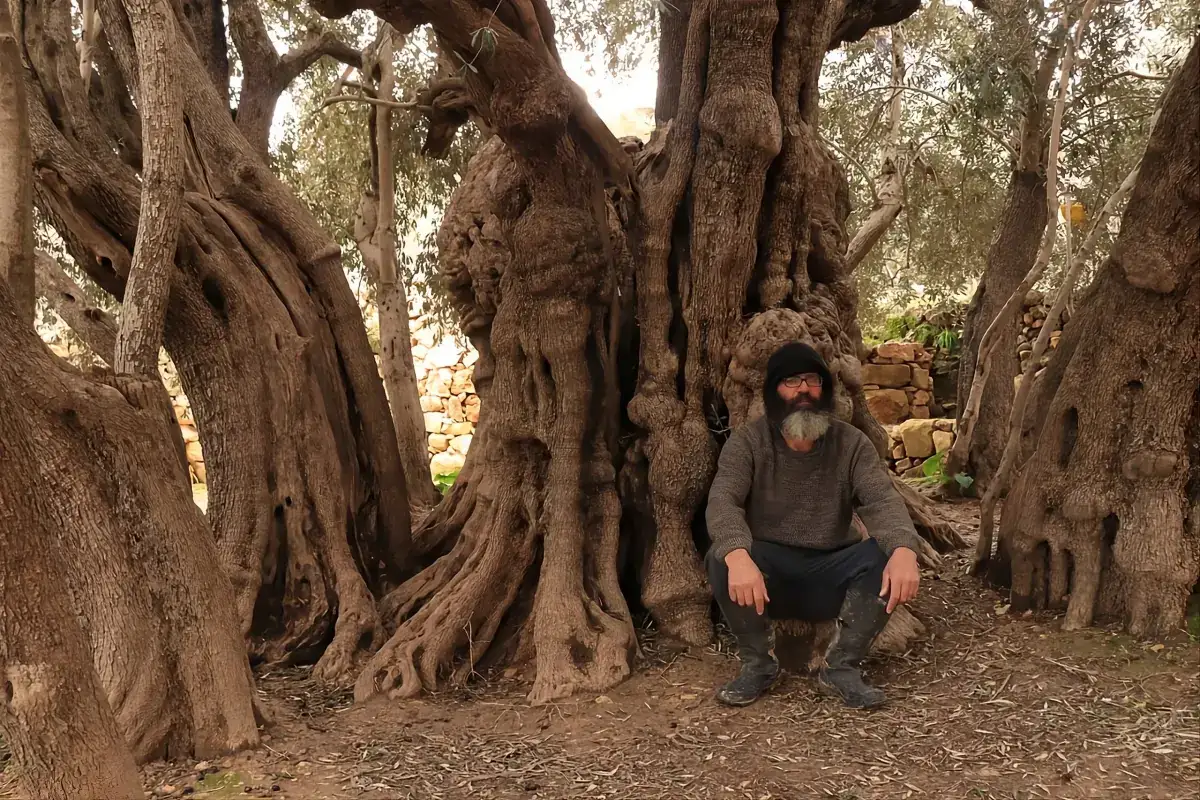 Salah Ali junto al colosal tronco del olivo al-Badawi en al-Walaja, uno de los árboles más antiguos del mundo.